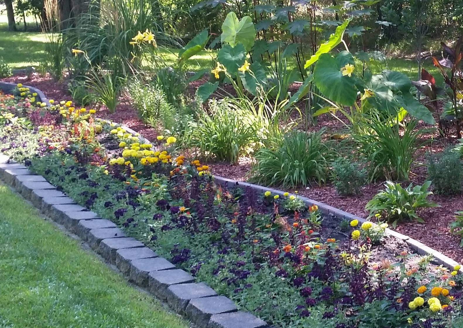 photo from camping area with blooming flowers along lawn border